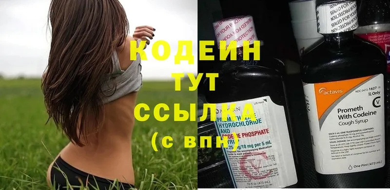 купить наркотики цена  Хабаровск  Кодеиновый сироп Lean Purple Drank 