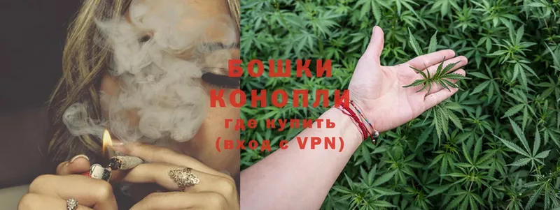 где купить наркоту  Хабаровск  Бошки марихуана White Widow 